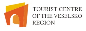 logo TCV web ENG